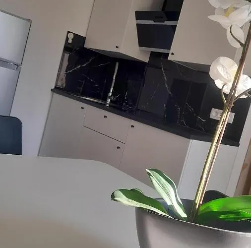 Apartma Ana