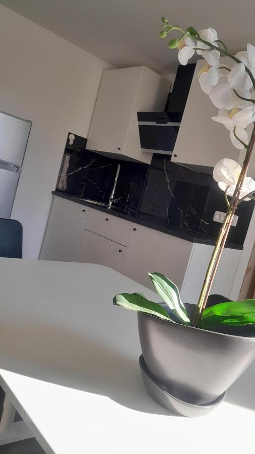 Apartma Ana Koper